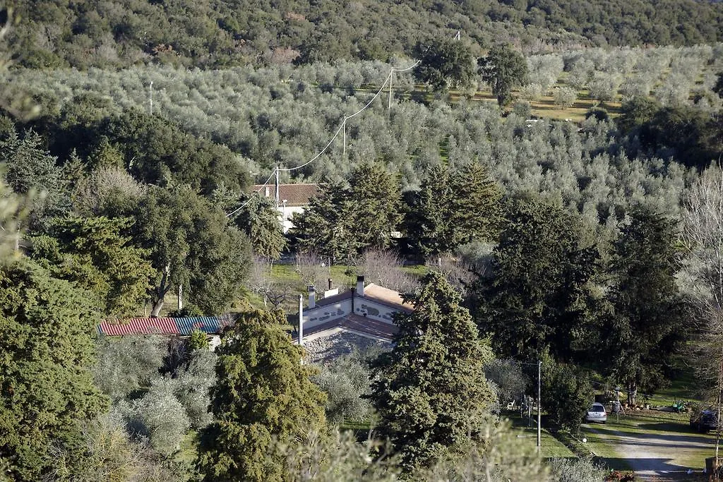 Molino Della Volta Villa Batignano