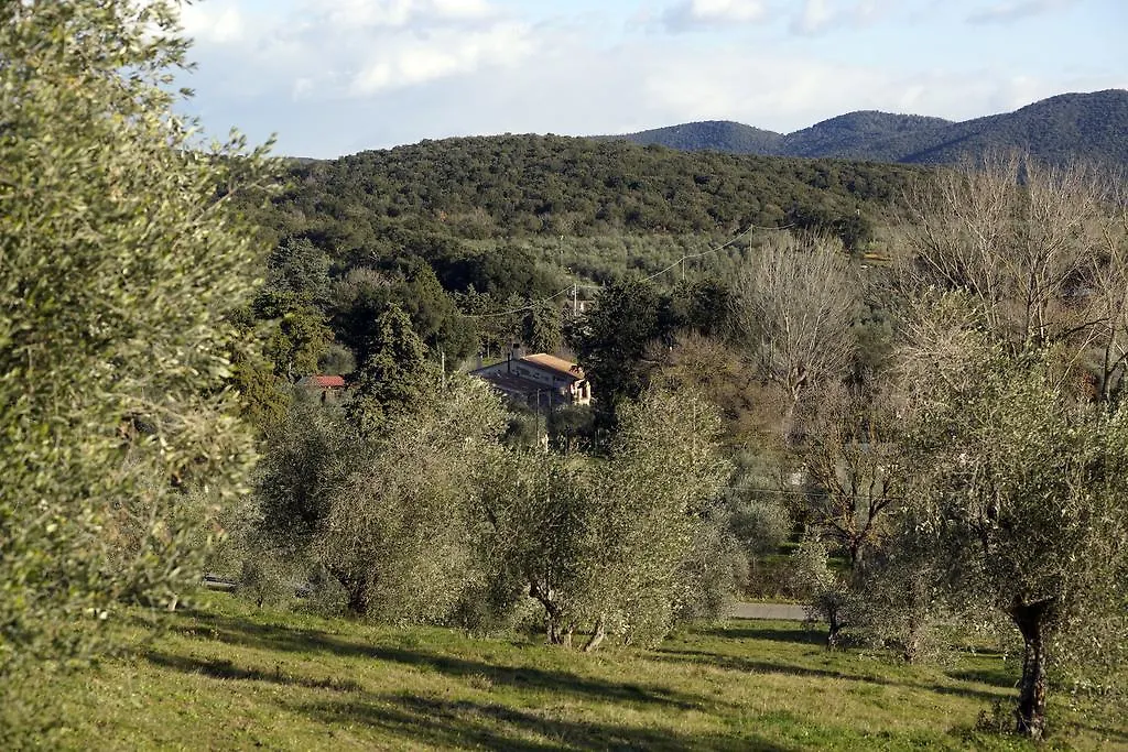 Molino Della Volta Villa Batignano